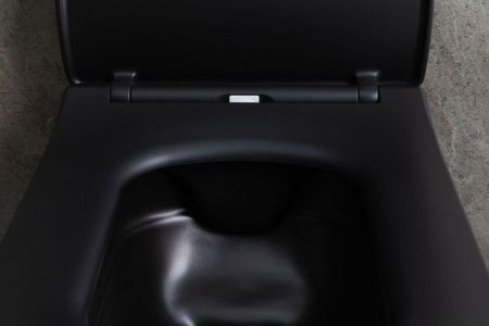 Чаша унитаза подвесная Allen Brau Liberty 4.33007.31 цвет черный без сиденья безободковая каскадный смыв