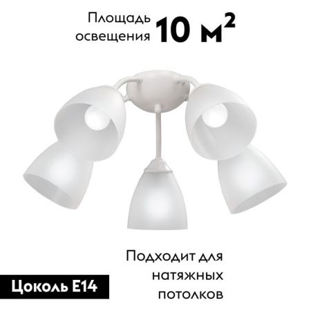 Люстра потолочная Vitaluce V3737-0 V3737-0/5PL