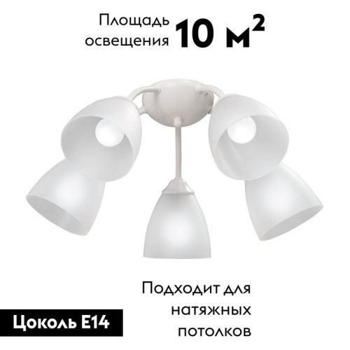 Люстра потолочная Vitaluce V3737-0 V3737-0/5PL - фото 2