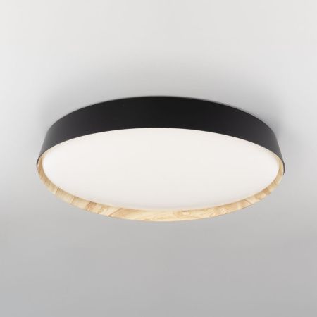 Светильник потолочный музыкальный Citilux Bonny (Бонны) CL754451G
