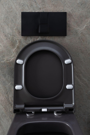 Чаша унитаза подвесная Allen Brau Priority 4.31001.AN цвет черный без сиденья безободковая каскадный смыв