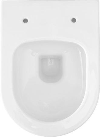 Чаша унитаза подвесная Allen Brau Priority 4.31002.20 цвет белый без сиденья безободковая каскадный смыв