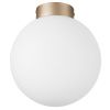 Светильник потолочный Lightstar Globo (Глобо) 812023