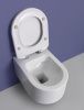 Унитаз подвесной White Ceramic Tao W1080301 белый с сиденьем микролифт безободковый
