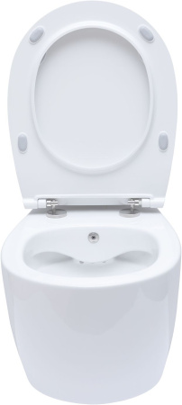 Чаша унитаза подвесная Allen Brau Fantasy 4.11HC1.20 цвет белый без сиденья безободковая каскадный смыв