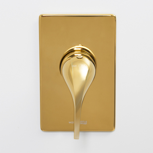 Смеситель для душа WasserKRAFT Sauer 7100 7151 встраиваемый золото - фото 3