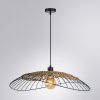 Светильник подвесной Arte Lamp Woodstock (Воодстоцк) A7061SP-1BK