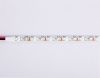 Светодиодная лента Ambrella Light LED Strip 12V (ЛЕД Стрип 12В) GS1103