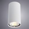 Светильник потолочный Arte Lamp Unix (Уникс) A1516PL-1WH