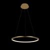Светильник подвесной Loft It Ring 10014M