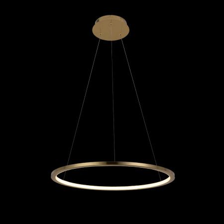 Светильник подвесной Loft It Ring 10014M
