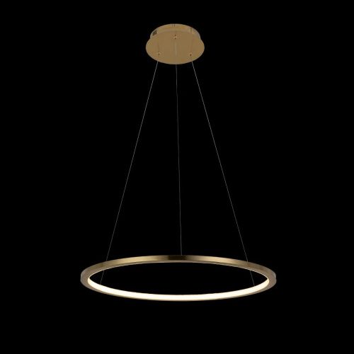 Светильник подвесной Loft It Ring 10014M - фото 2