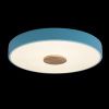 Светильник потолочный Loft It Axel 10003/24 Blue