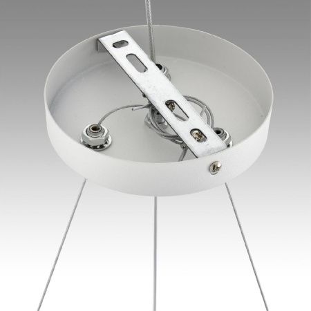 Люстра подвесная Lumion Luazana (Луазана) 8254/6
