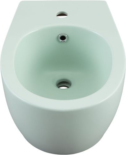 Биде Allen Brau Fantasy 4.11006.MT подвесное - фото 5