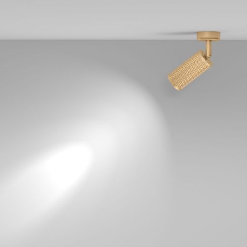 Светильник потолочный Maytoni Technical Focus Design C034CL-01G - фото 4