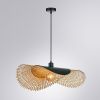 Светильник подвесной Arte Lamp Woodstock (Воодстоцк) A7063SP-1BK
