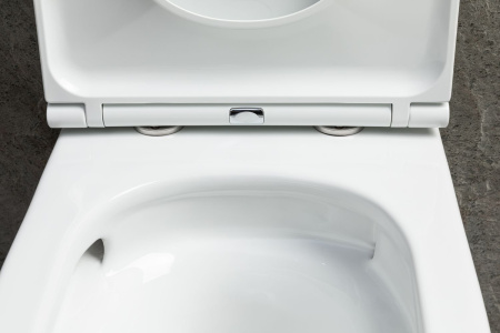 Чаша унитаза подвесная Allen Brau Priority Tornado 4.31008.20 цвет белый без сиденья безободковая душевой смыв