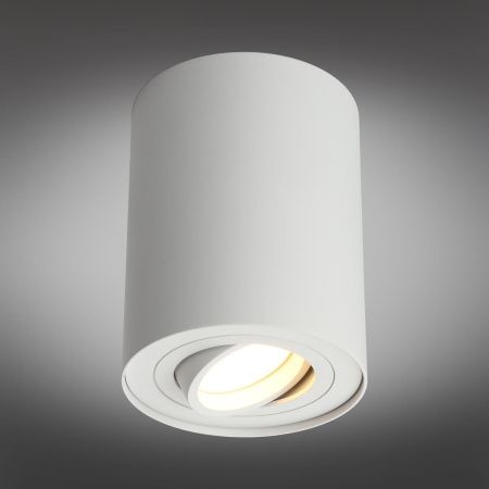 Настенно-потолочный светильник Omnilux Pantaleo (Панталео) OML-101009-01