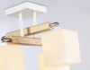 Светильник потолочный Ambrella Light Traditional (Традитионал) TR9512