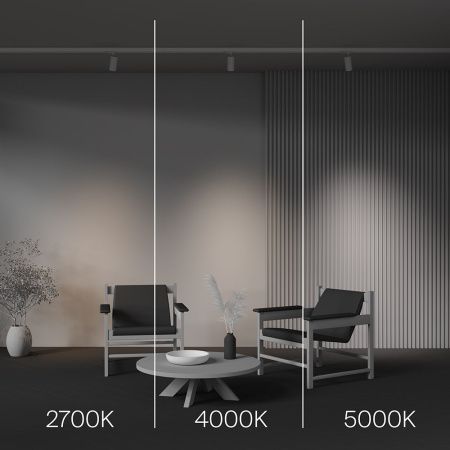 Трековый светодиодный светильник Maytoni Technical Focus Led TR197-3-12WCCT-M-W