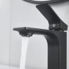 Смеситель Shevanik S6101H на раковину черный