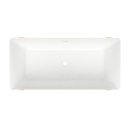 Ванна акриловая Wellsee FR.Euphoria 230101002 170х80 отдельностоящая прямоугольная с ножками