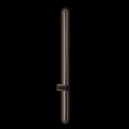 Светильник настенный Loft It Rays 10053BK