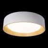 Светильник потолочный Loft It Coin 10202 White