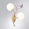 Бра Arte Lamp Camomilla (Цамомилла) A9712AP-2SG
