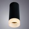Светильник накладной Arte Lamp Ogma (Огма) A5556PL-1BK