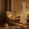 Торшер Citilux Fanny (Фанны) CL213921