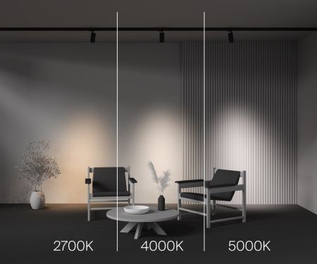 Трековый светодиодный светильник Maytoni Technical Focus Led (Фокус) TR197-3-20WCCT-M-B