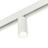 Трековый магнитный светильник Myfar Ray (Раы) MT0220-12W4K-W