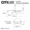 Люстра на штанге Citilux Fisher (Фисхер) CL218163