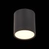 Светильник потолочный ST Luce Rene (Рене) ST113.432.05