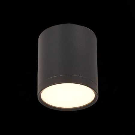 Светильник потолочный ST Luce Rene (Рене) ST113.432.05