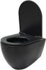 Чаша унитаза подвесная Allen Brau Reality 4.32006.31 цвет черный без сиденья безободковая каскадный смыв