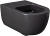 Чаша унитаза подвесная Allen Brau Priority 4.31001.AN цвет черный без сиденья безободковая каскадный смыв