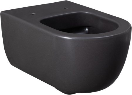 Чаша унитаза подвесная Allen Brau Priority 4.31001.AN цвет черный без сиденья безободковая каскадный смыв
