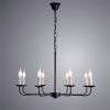 Светильник подвесной Arte Lamp GRAFF (ГРАФФ) A1857LM-8BK