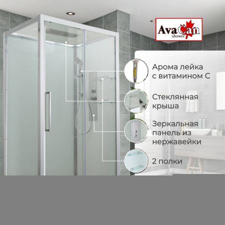 Душевая кабина AvaCan Z Z2911 110х90 прямоугольная с крышей ориентация универсальная
