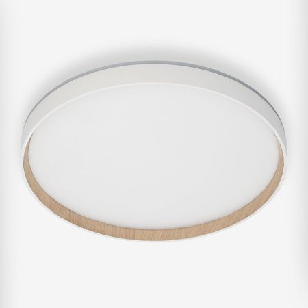 Светильник потолочный музыкальный Citilux Etalon (Еталон) CL750400R