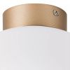 Светильник потолочный Lightstar Globo (Глобо) 812033