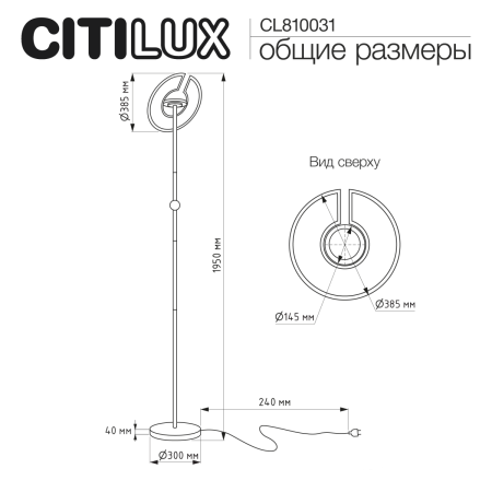 Торшер Citilux Loong (Лоонг) CL810031