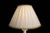 Настольная лампа Arte Lamp Veronika (Вероника) A2298LT-1CC