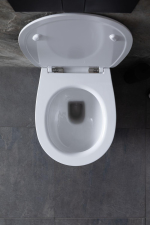 Унитаз приставной Allen Brau Fantasy 4.11007.20 белый с сиденьем микролифт безободковый каскадный смыв