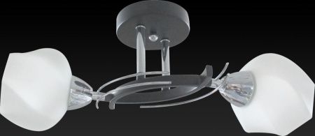Светильник потолочный Toplight Lia (Лиа) TL7380X-02BC