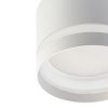 Светильник накладной Citilux Hardy (Харды) CL002C10