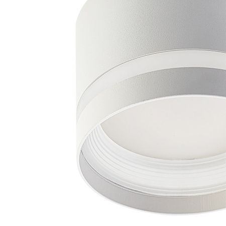 Светильник накладной Citilux Hardy (Харды) CL002C10